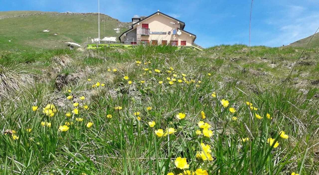 Residenza Letizia Apartment Nemeggio Exterior foto
